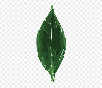 Plants, Leaf, Cartoon, Drink, Tea, Leaves, Beverage - Leaf