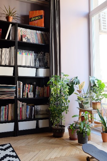 Plants & Magazines