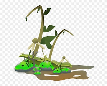 Plants Nature, Landscape, Growing, Plants - Dying Plant Clipart