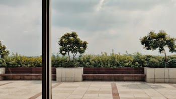 Plants Near Bench