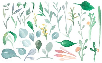 Plants set | Free stock vector - 381114