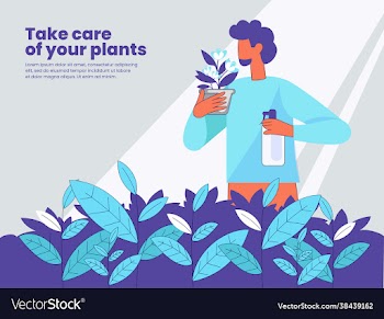 plants take care concept