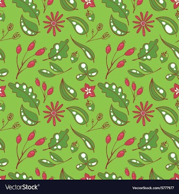 Plants vector image