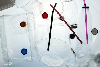 Plastic containers cleaned before recycling  | Free  photo - 2318260