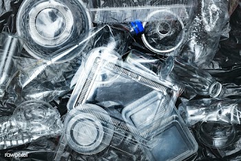 Plastic containers cleaned before recycling  | Free  photo - 2319433