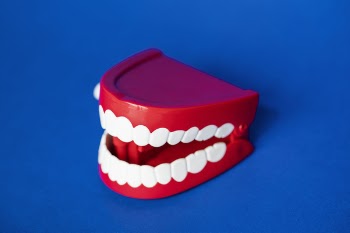 Plastic Denture Toy