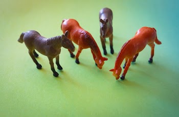Plastic Toys