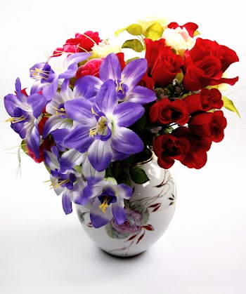 plasticCN_1705.jpg
