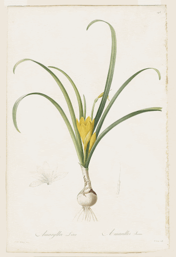 Plate 148, volume 3, Les | Free Photo - rawpixel