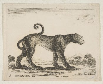 Plate 9: leopard, from 'Various | Free Photo - rawpixel
