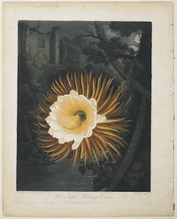 Plate B. Original from the Minneapolis | Free Photo - rawpixel