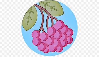 plate dishware tableware pink plant