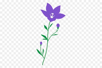 Platycodon grandiflorus Illustration Computer Icons Clip art Illustrator -  