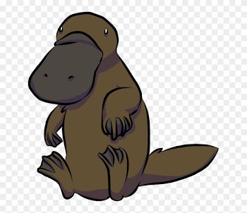 Platypus Beaver Animal Cartoon Drawing - Platypus Beaver Animal Cartoon Drawing