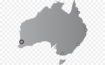 Platypus Grey-bellied dunnart White-tailed dunnart Dasyurids Subtropical antechinus -  