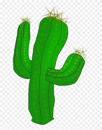 Play Little Money Limit Hold'em