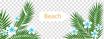 Playa de la Arena Arecaceae Summer vacation Beach, Cartoon green leaves transparent background PNG clipart