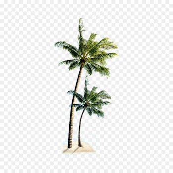 Playa Verde Beach Villa Praia do Coqueiro - Beach coconut tree 