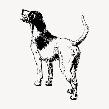 Playful dog clipart, vintage animal | Free Vector - rawpixel