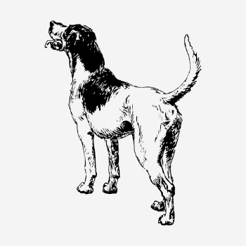 Playful dog drawing, vintage pet | Free Photo - rawpixel