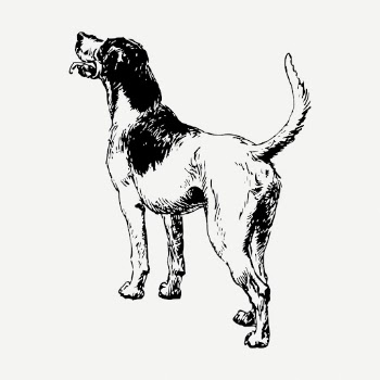 Playful dog drawing, vintage pet | Free PSD - rawpixel