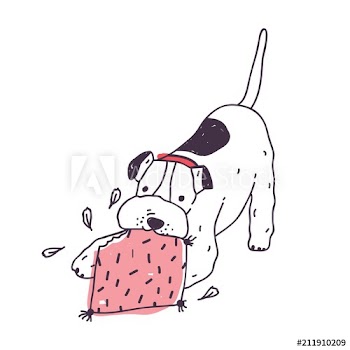 Playful dog tearing or gnawing pillow