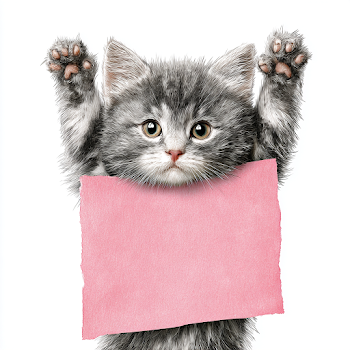 Playful Kitten Holding Pink Banner