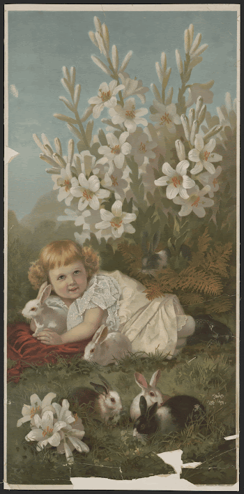 "Playmates" [Young girl in a field | Free Photo - rawpixel