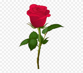 Please Accept This - Rose Flower Emoji Transparent