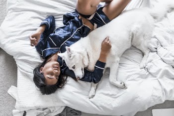 Please help support by following @dayinmydreams on Instagram xoxo Girl lies comfortably in a white bed in luxury blue silk pajamas, hugging her best friend white husky dog. This is the kind of happiness people live for.