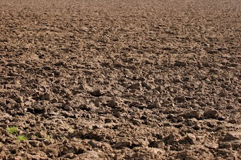 ploughed_field.JPG