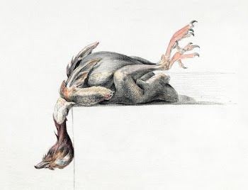 Plucked bird, hanging head down… | Free public domain illustration