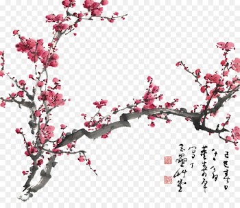 Plum blossom Chinese painting Cherry blossom Drawing - cherry blossom 