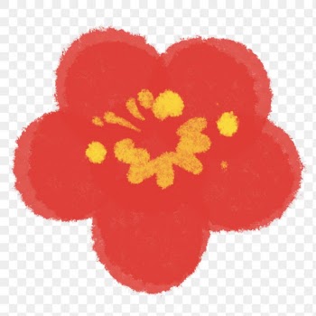 Plum blossom flower png botanical illustration