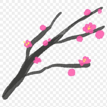 Plum blossom flower png floral illustration