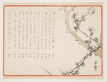(Plum blossoms)Original from the Minneapolis | Free Photo - rawpixel