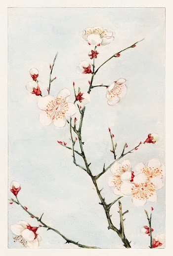 Plum branches with blossoms during 1870&ndash;1880 by Megata Morikaga. Original from Library of Congress. Digitally enhanced by rawpixel.