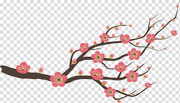 Plum flower transparent background PNG clipart