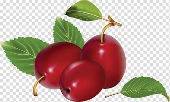 Plum Fruit , Plum transparent background PNG clipart