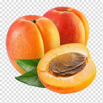 Plum fruits, Apricot, Apricots transparent background PNG clipart