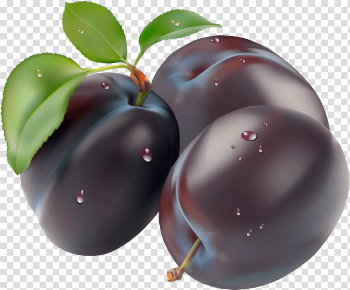 Plum Png Image