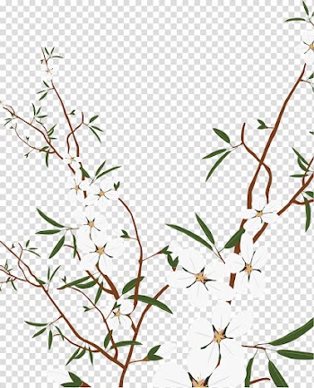 Plum , Snow White Plum Plum material transparent background PNG clipart