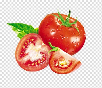 Plum tomato Bush tomato Food Vegetable, Red tomatoes transparent background PNG clipart
