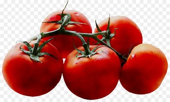 Plum tomato Bush tomato Superfood -  