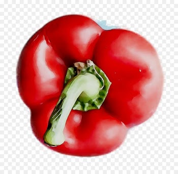 Plum Tomato, Chili Pepper, Cayenne Pepper, Natural Foods, Vegetable PNG