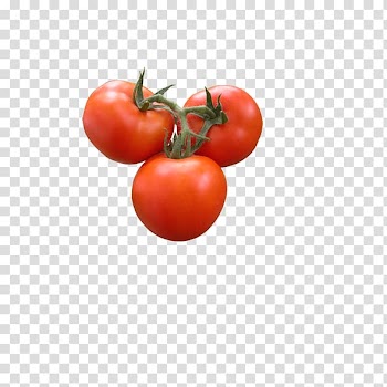 Plum tomato Vegetable Bush tomato, tomato transparent background PNG clipart