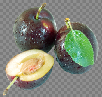 Plum Transparent Background PNG