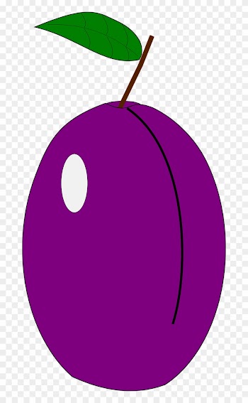 Plum Vitamin Nature - Circle
