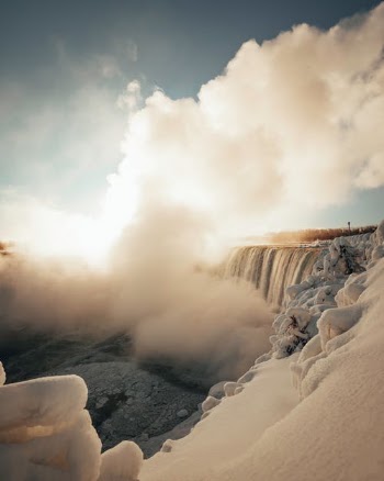 Plume · Free Stock Photo