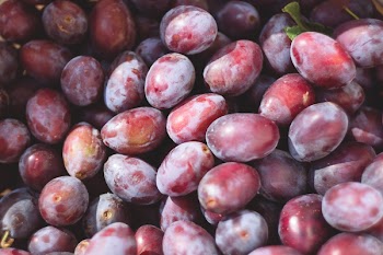 Plums